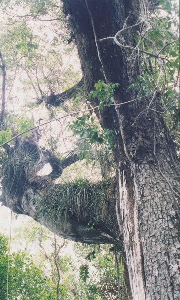 004-Everglades National Park.jpg